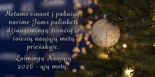 Laimingų 2026!